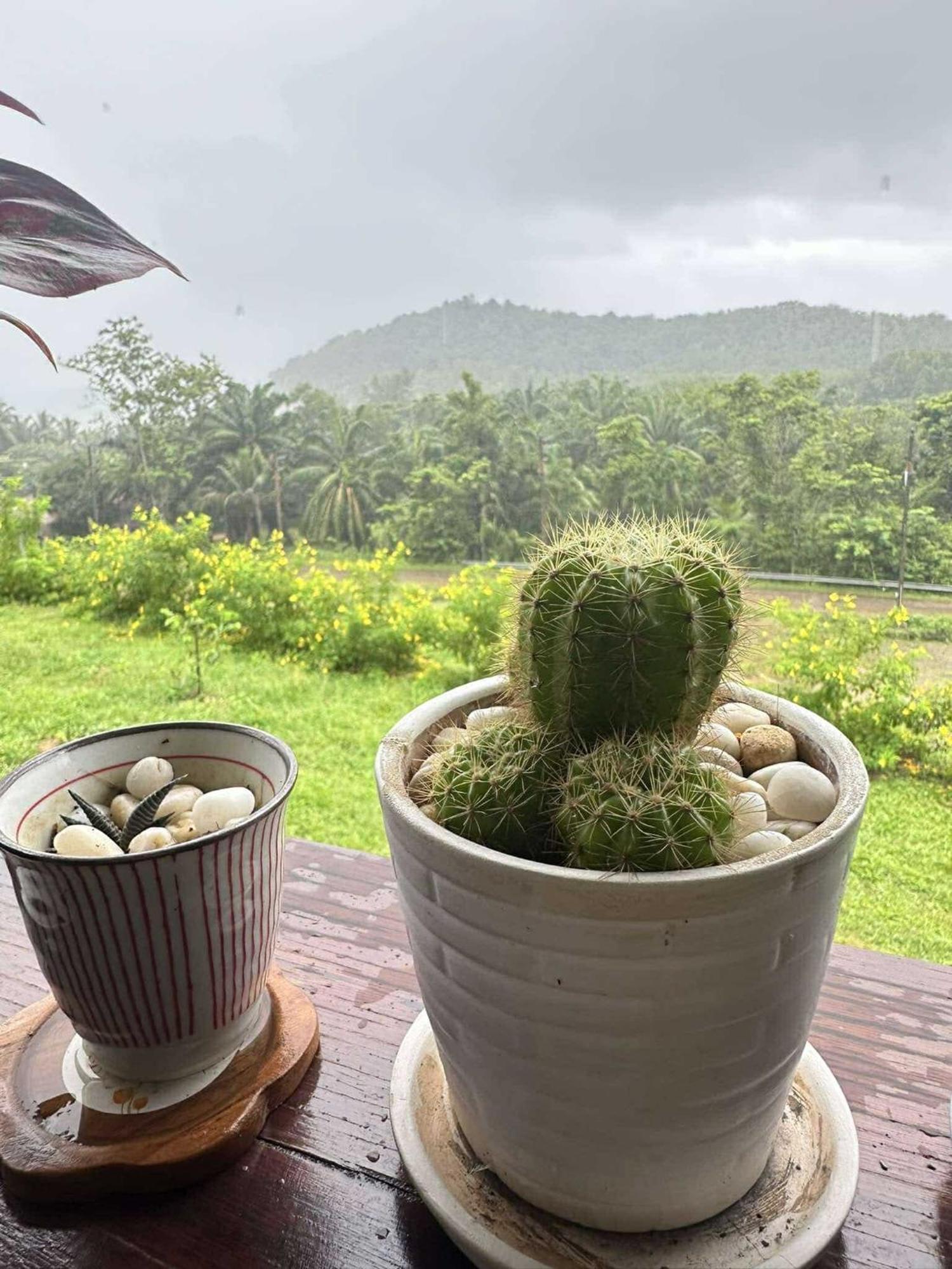 บ้านสวนปิยนันท์ Ko Yao Noi Luaran gambar